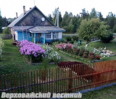 На участке у Николая Альбертовича не только цветы, но и садовые деревья