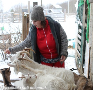 Четыре года назад, начав ведение своего хозяйства с одной козы, рогатое поголовье Шучевы увеличили до семи голов