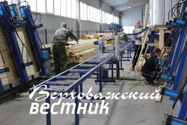 На предприятии ИП А.В. Житкова в поселке Каменка  ведется глубокая переработка древесины