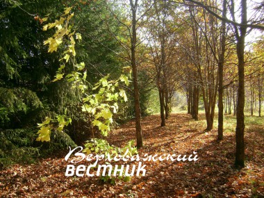 Особо охраняемая природная территория областного значения "Парк Дудорова" — одна из лесных достопримечательностей района