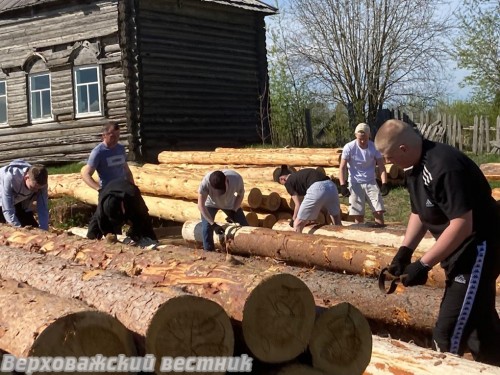 Трудовой отряд при ЦТНК корит бревна для часовни в Новой Деревне. 20 мая 2025 года