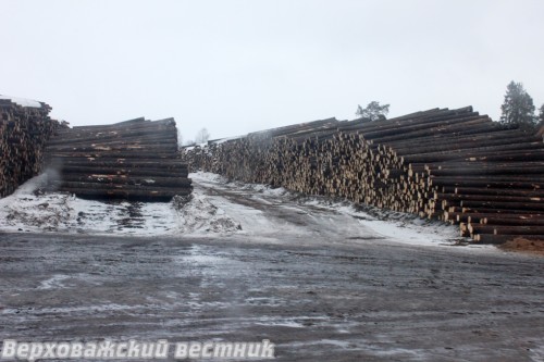 Изменения в лесной отрасли предполагают не только запрет на вывоз кругляка, но и стимулирование углубленной обработки древесины