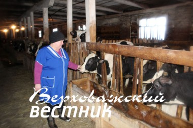 Зоотехник хозяйства И.К. Акиньхова следит  за питанием телят и нетелей