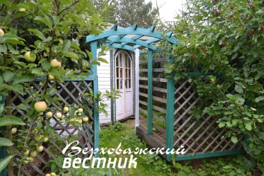Одна из беседок в саду Николая Петровича и Татьяны Павловны Башкардиных